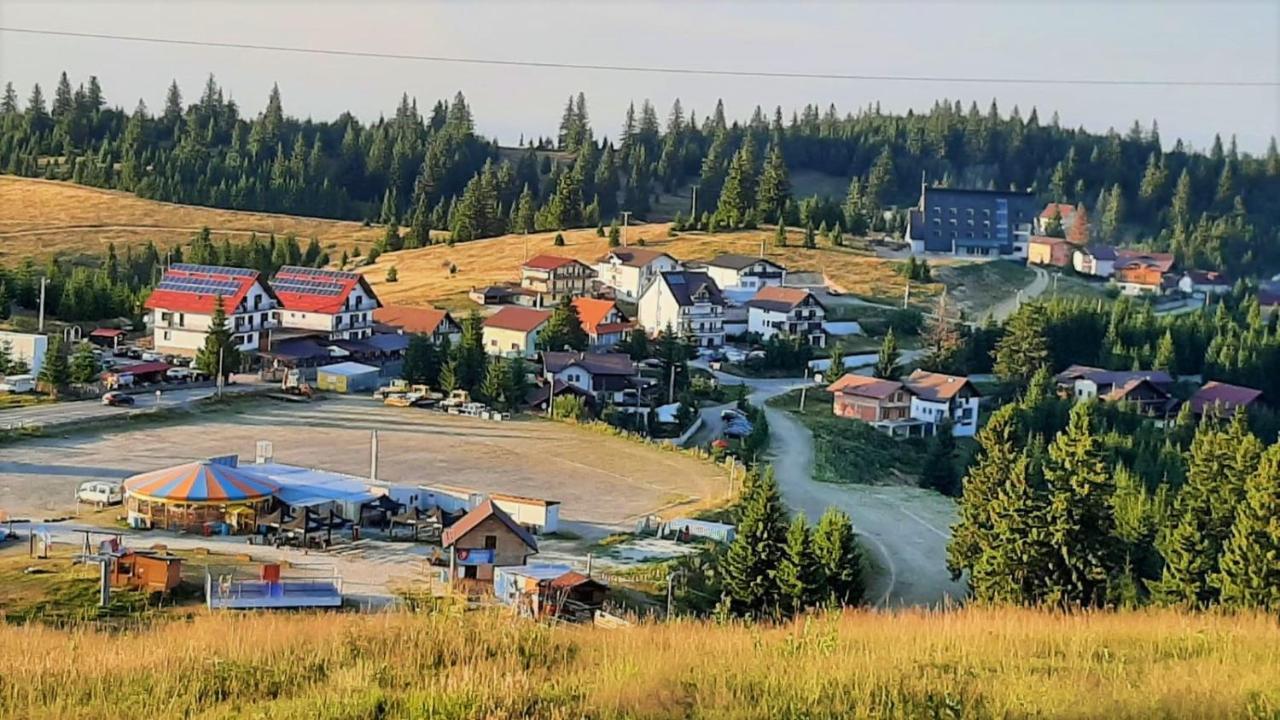 Pensiunea Karola Păltiniş Exterior foto