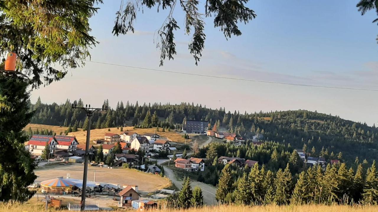 Pensiunea Karola Păltiniş Exterior foto